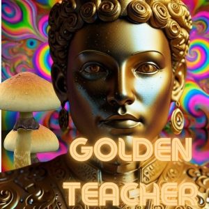 Blog-golden techer