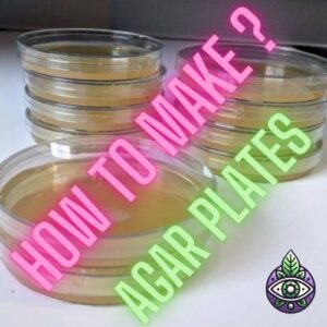 agar plates