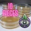 10 Pieces_petriedieshes