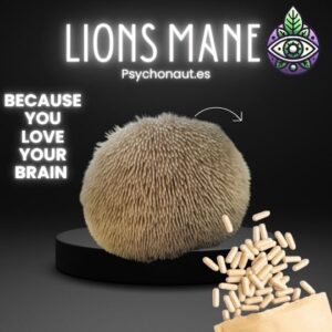 Lionsmane- Hericium